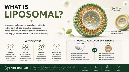 What Does “Liposomal” Really Mean — And Why Are People Talking About It?