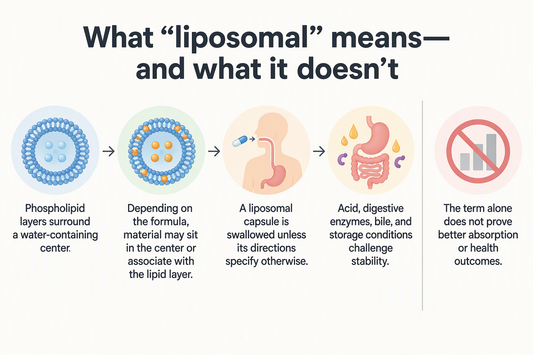 Diagram showing a liposome’s phospholipid layers and water-containing center, followed by the digestive conditions an oral formula encounters.