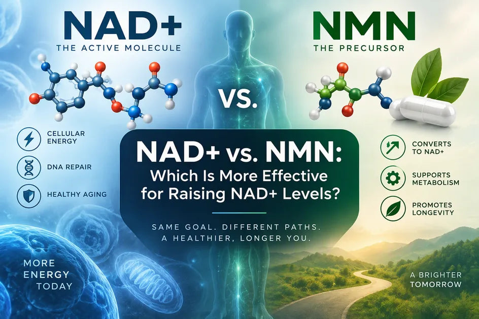 Infographic comparing NAD+ and NMN, with molecular models, a glowing torso, and NAD+ vs. NMN heading.