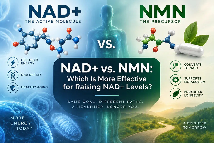 Infographic comparing NAD+ and NMN, with molecular models, a glowing torso, and NAD+ vs. NMN heading.