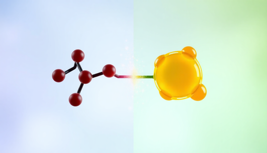 Ubiquinol vs Ubiquinone — Which CoQ10 Should You Take?